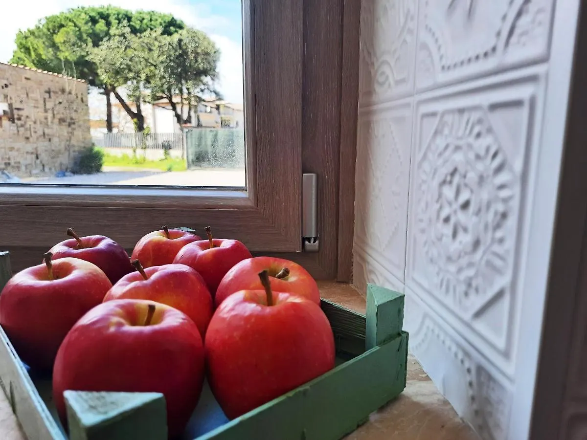 Da Ilaria Piano Terra Di Villa Con Piscina E Parcheggio Grosseto